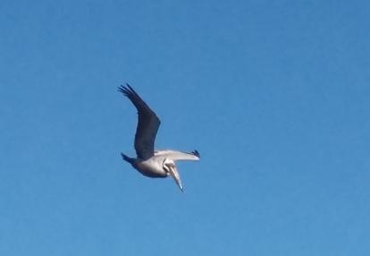 Voyage au Costa Rica de Pascal