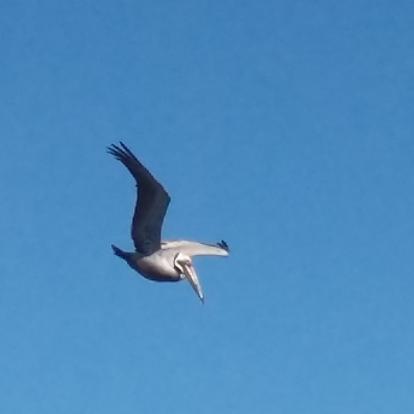 Voyage au Costa Rica de Pascal