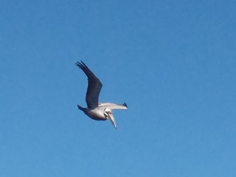 Voyage au Costa Rica de Pascal