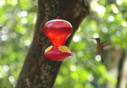 Voyage au Mexique de Nathalie