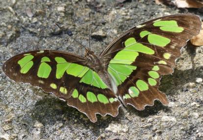 Voyage au Mexique de Nathalie
