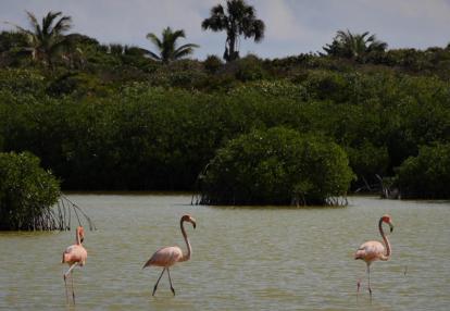 Voyage en République Dominicaine de Denis