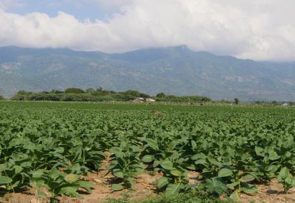 Voyage en République Dominicaine de Denis