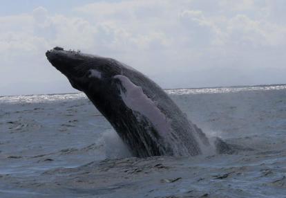 Voyage en République Dominicaine de Denis
