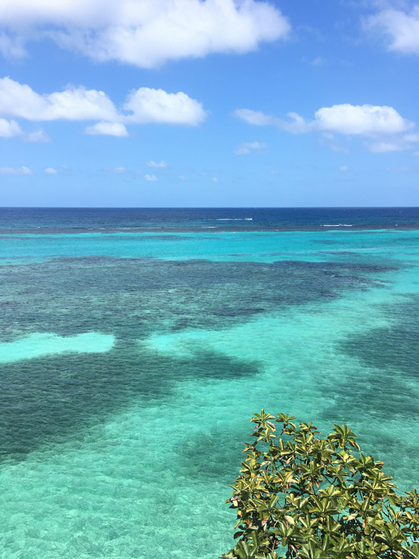 Voyage en Jamaïque de Denis