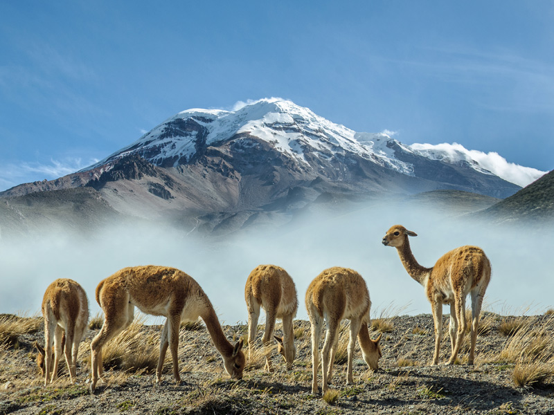 Voyage en Equateur de Carmen et Jean