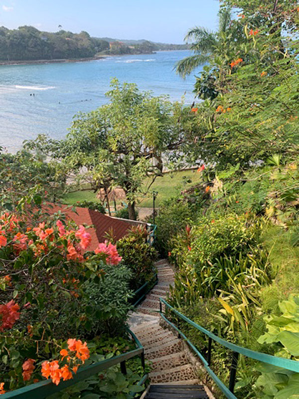 Voyage en Jamaïque de la Famille de Charlotte