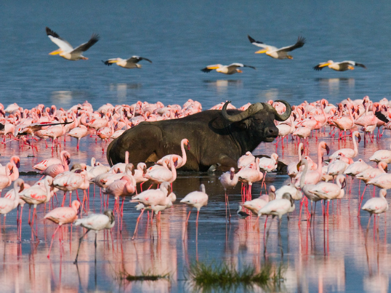 Voyage au Kenya de la Famille de Véronique