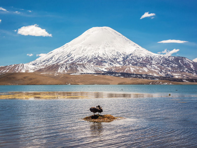 Voyage au Chili de Viviane, Michel et Dominique