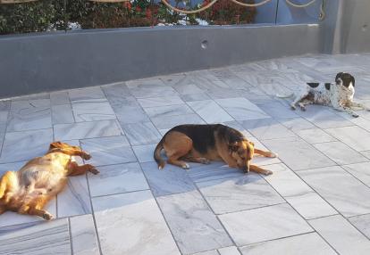 Voyage à Santorin et Paros de Jean-Paul et Anne