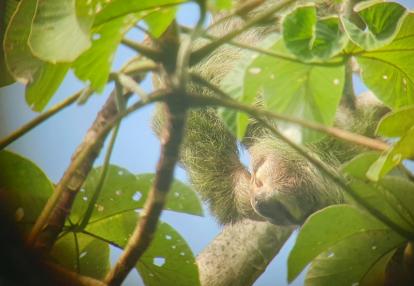 Voyage au Costa Rica Anne-Marie