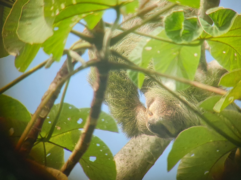 Voyage au Costa Rica de Anne-Marie Voyage au Costa Rica Anne-Marie