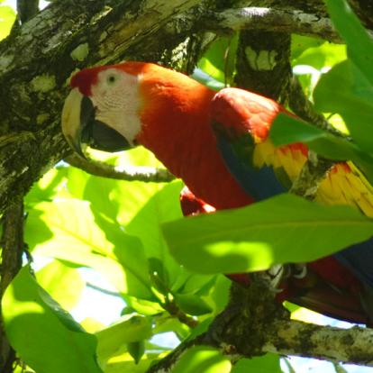 Voyage Au Costa Rica De Anne-Marie Voyage au Costa Rica Anne-Marie