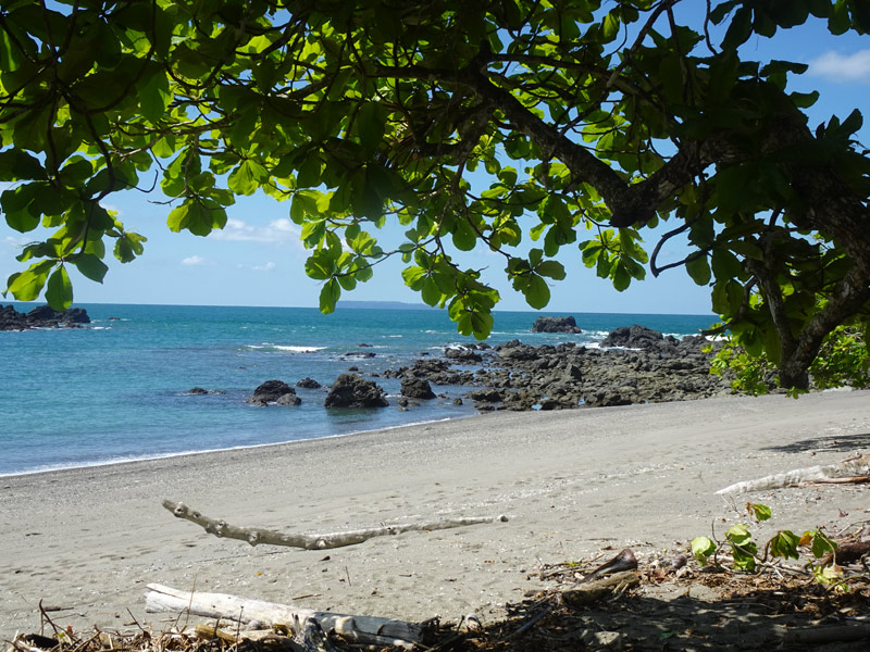 Voyage au Costa Rica de Anne-Marie Voyage au Costa Rica Anne-Marie