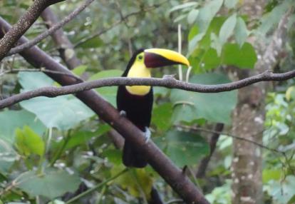 Voyage au Costa Rica Anne-Marie