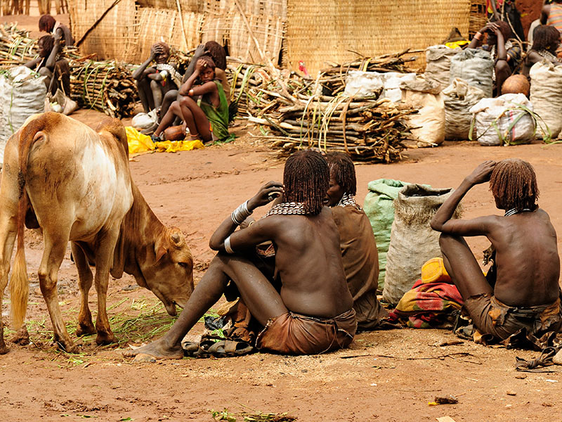 Voyage en Ethiopie de Priscilla