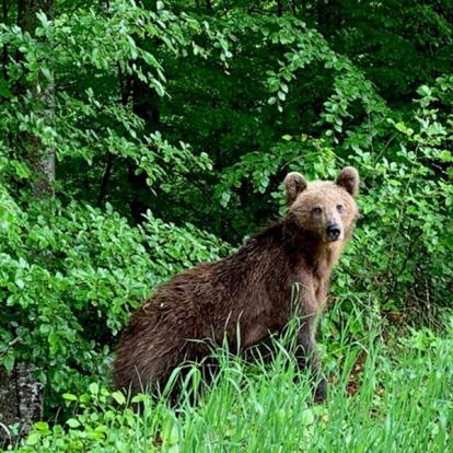 Voyage en Roumanie du Groupe de Jean-Christophe B.
