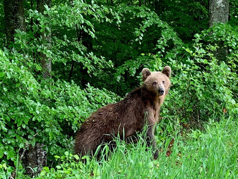 Voyage en Roumanie du Groupe de Jean-Christophe B.