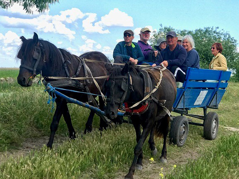 Voyage en Roumanie du Groupe de Jean-Christophe B.