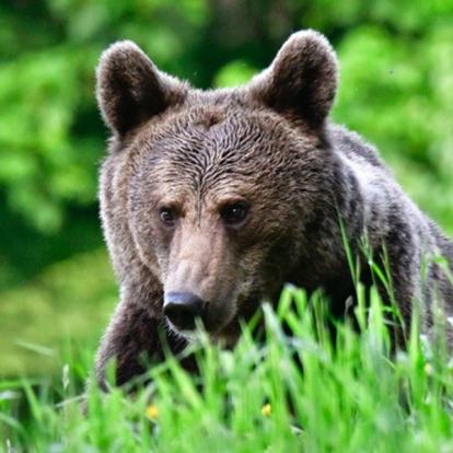 Voyage en Roumanie du Groupe de Jean-Christophe B.