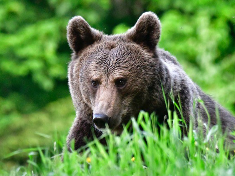 Voyage en Roumanie du Groupe de Jean-Christophe B.