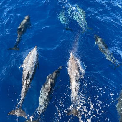 Voyage aux Açores de la Famille de Yannic B.