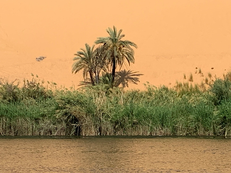 Voyage en Egypte de Nadine Voyage en Egypte de Nadine R.