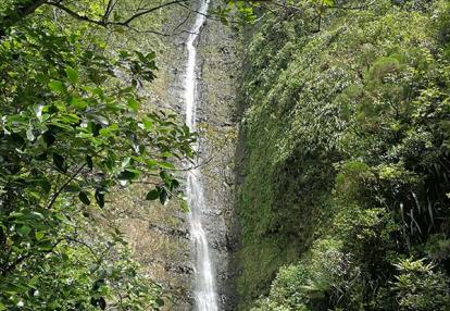 Voyage à La Réunion Voyage à La Réunion de Jean-François P.