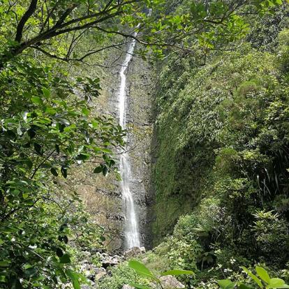 Voyage à La Réunion de Jean-François P.