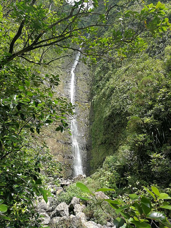 Voyage à La Réunion de Jean-François P.