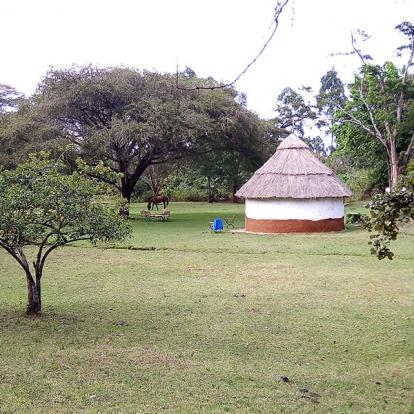 Voyage au Kenya de Nathalie