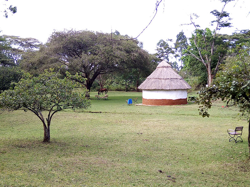 Voyage au Kenya de Nathalie