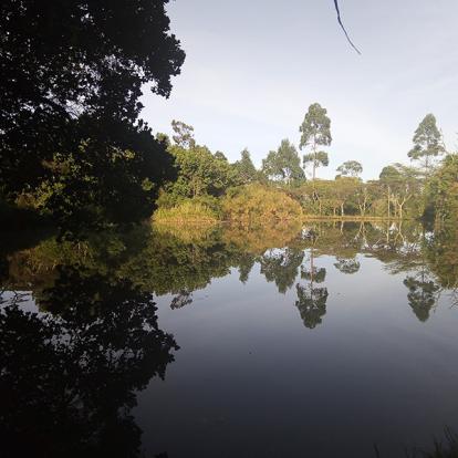 Voyage au Kenya de Nathalie