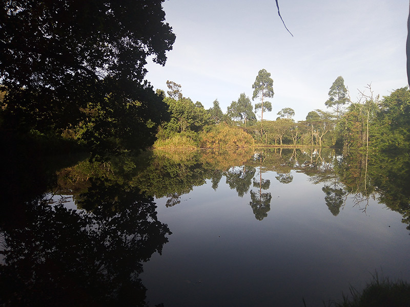 Voyage au Kenya de Nathalie
