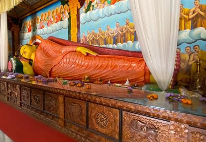 Voyage au Sri Lanka de Dominique