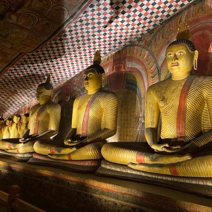 Sri Lanka Voyage au Sri Lanka de Dominique