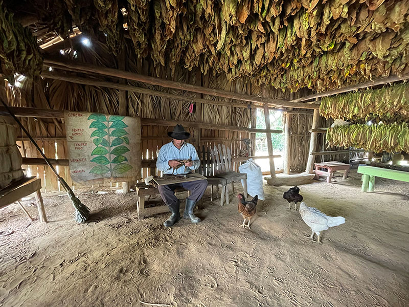 Voyage à Cuba de Nathalie A.