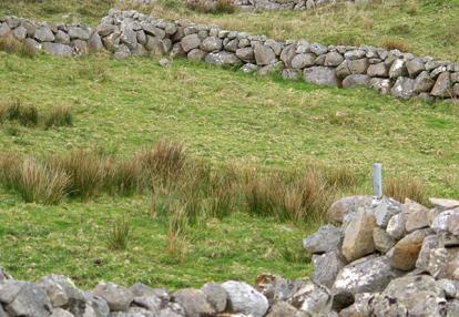 Voyage en Irlande de Pierre G.