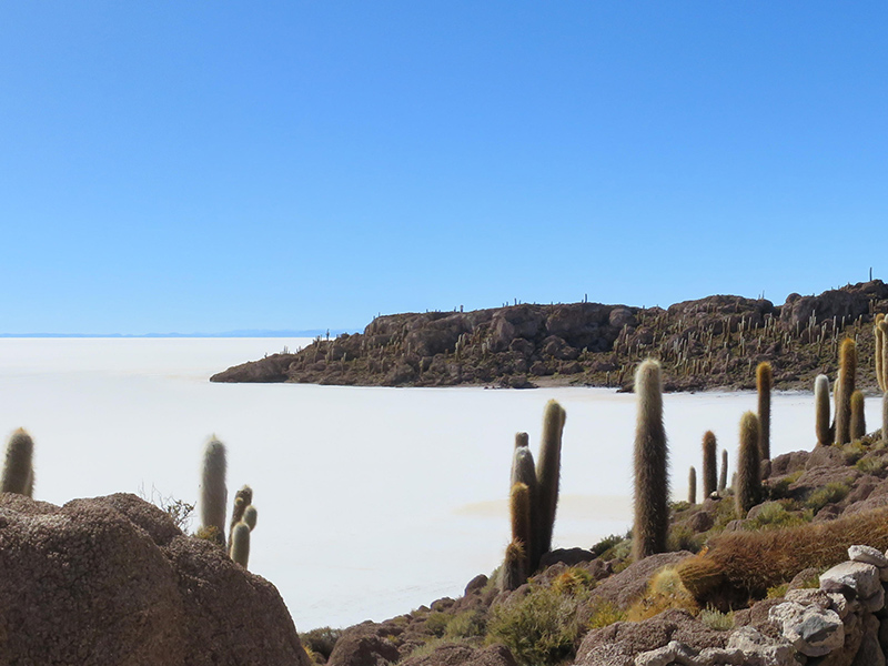 Incahuasi Voyage en Bolivie d'Andrée D.