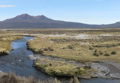 Voyage en Bolivie d'Andrée D.