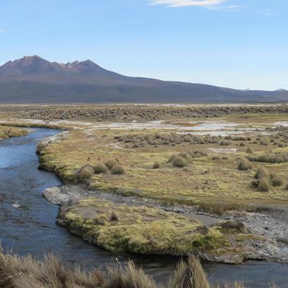 Sajama Voyage en Bolivie d'Andrée D.