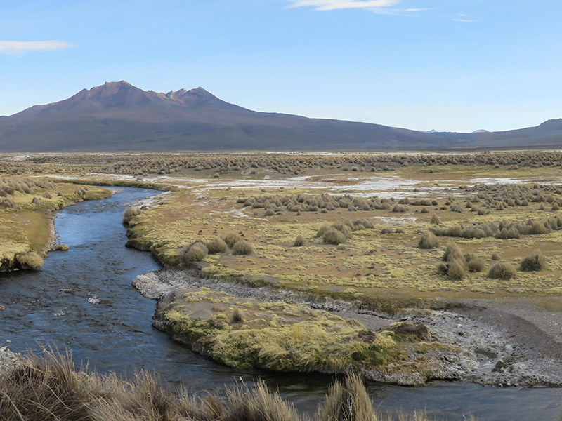 Sajama Voyage en Bolivie d'Andrée D.