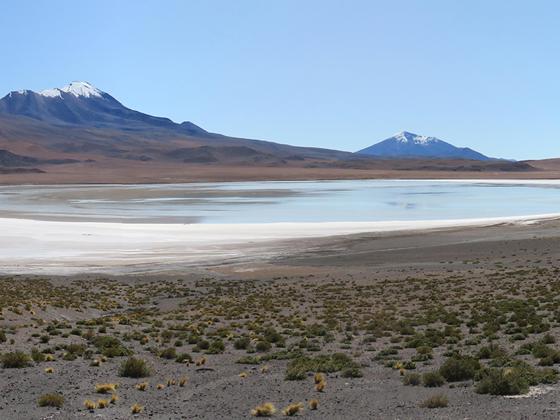 Sud-Lipez Voyage en Bolivie d'Andrée D.
