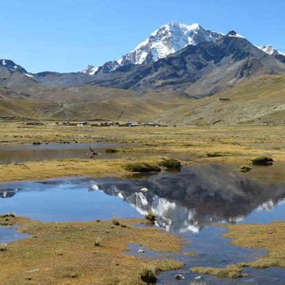 Tuni Voyage en Bolivie d'Andrée D.