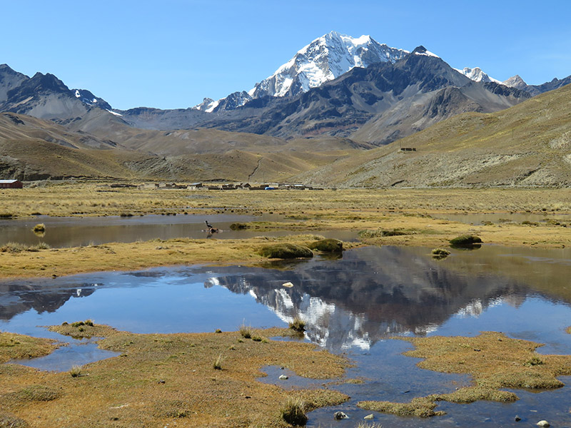 Tuni Voyage en Bolivie d'Andrée D.