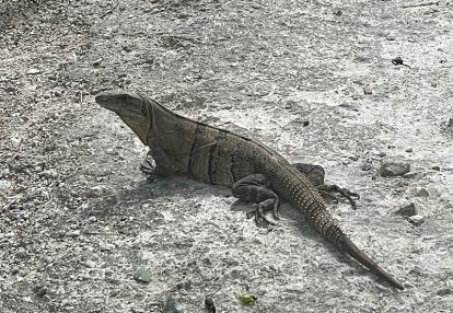 Voyage au Mexique de Corinne