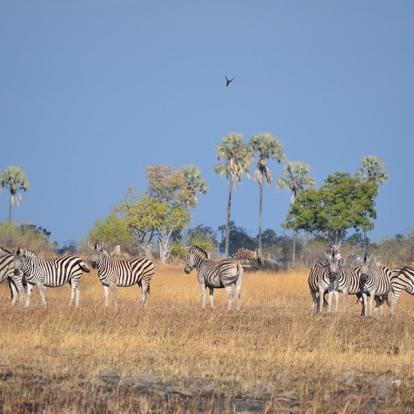 Voyage au Botswana de Marianne P. et Christine D.