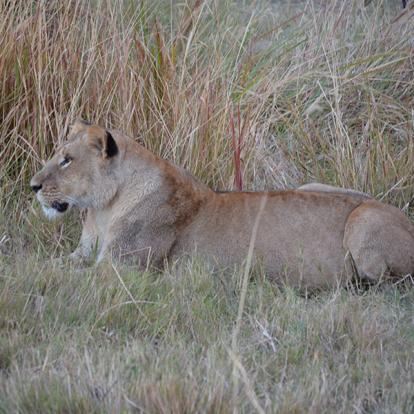 Voyage au Botswana de Marianne P. et Christine D.