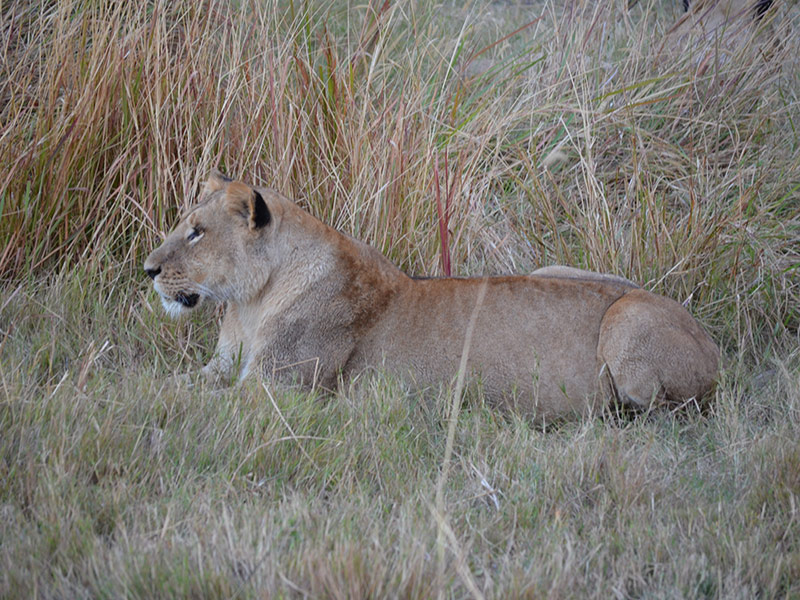 Voyage au Botswana de Marianne P. et Christine D.