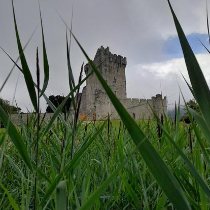 Voyage en Irlande de Claude